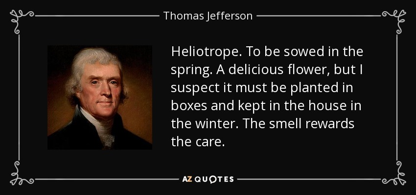 Heliotrope. To be sowed in the spring. A delicious flower, but I suspect it must be planted in boxes and kept in the house in the winter. The smell rewards the care. - Thomas Jefferson