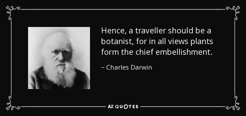 Hence, a traveller should be a botanist, for in all views plants form the chief embellishment. - Charles Darwin