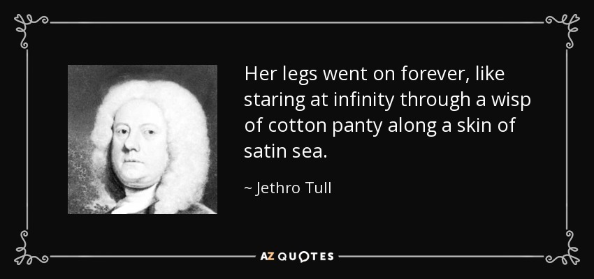 Her legs went on forever, like staring at infinity through a wisp of cotton panty along a skin of satin sea. - Jethro Tull