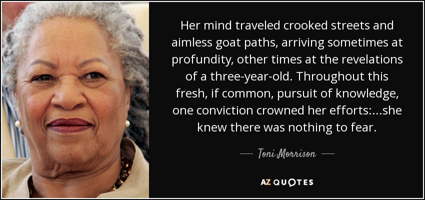 Her mind traveled crooked streets and aimless goat paths, arriving sometimes at profundity, other times at the revelations of a three-year-old. Throughout this fresh, if common, pursuit of knowledge, one conviction crowned her efforts: ...she knew there was nothing to fear. - Toni Morrison