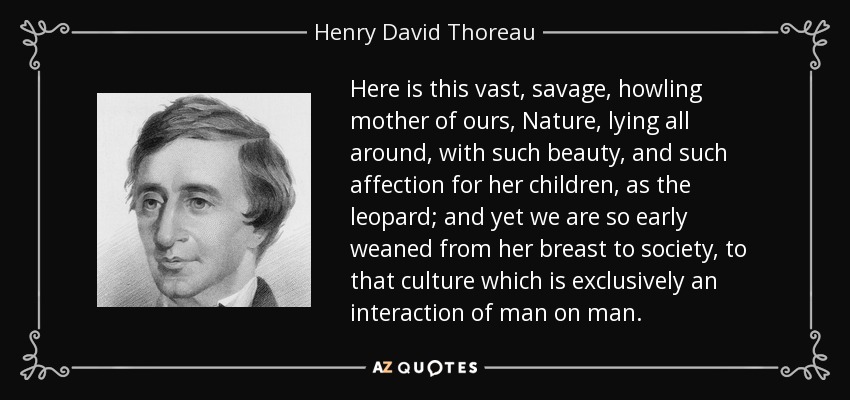 Here is this vast, savage, howling mother of ours, Nature, lying all around, with such beauty, and such affection for her children, as the leopard; and yet we are so early weaned from her breast to society, to that culture which is exclusively an interaction of man on man. - Henry David Thoreau