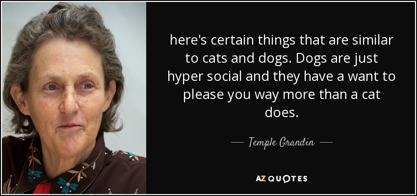 here's certain things that are similar to cats and dogs. Dogs are just hyper social and they have a want to please you way more than a cat does. - Temple Grandin