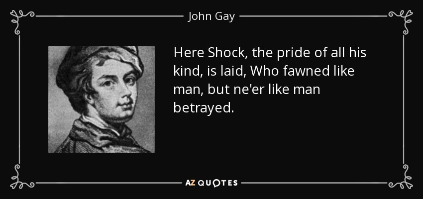 Here Shock, the pride of all his kind, is laid, Who fawned like man, but ne'er like man betrayed. - John Gay