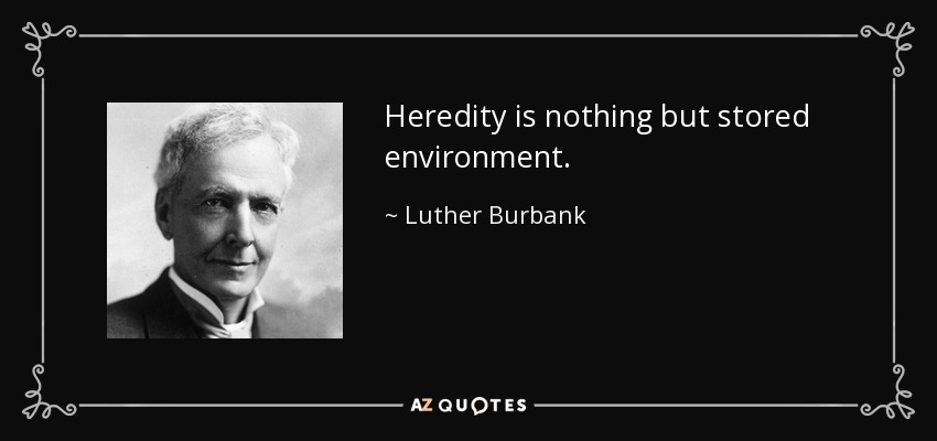 Heredity is nothing but stored environment. - Luther Burbank