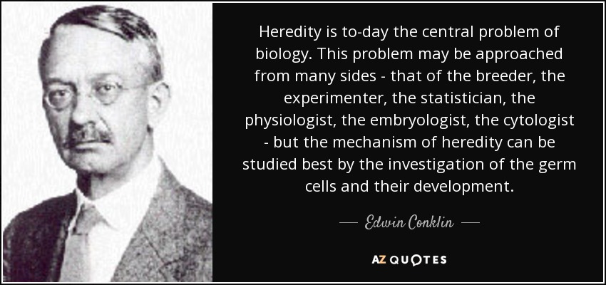 Heredity is to-day the central problem of biology. This problem may be approached from many sides - that of the breeder, the experimenter, the statistician, the physiologist, the embryologist, the cytologist - but the mechanism of heredity can be studied best by the investigation of the germ cells and their development. - Edwin Conklin