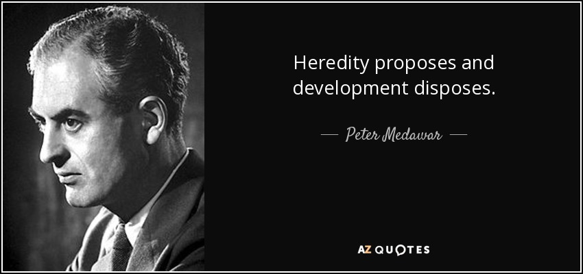 Heredity proposes and development disposes. - Peter Medawar