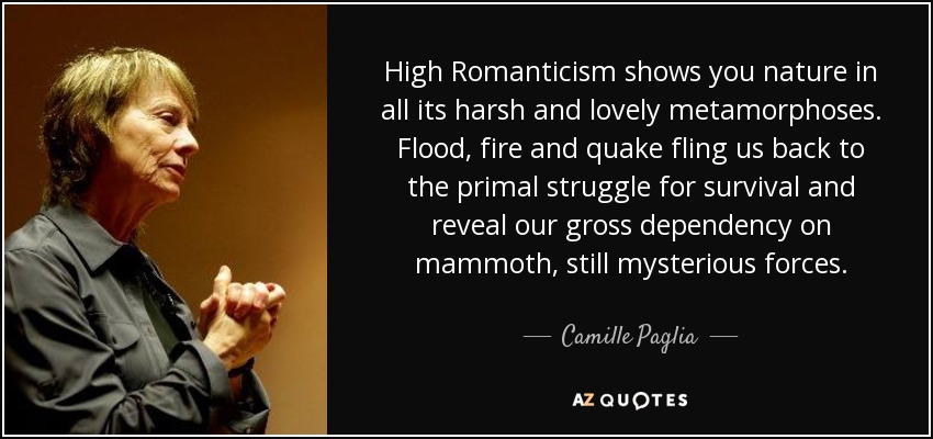 High Romanticism shows you nature in all its harsh and lovely metamorphoses. Flood, fire and quake fling us back to the primal struggle for survival and reveal our gross dependency on mammoth, still mysterious forces. - Camille Paglia