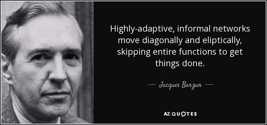 Highly-adaptive, informal networks move diagonally and eliptically, skipping entire functions to get things done. - Jacques Barzun