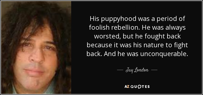 His puppyhood was a period of foolish rebellion. He was always worsted, but he fought back because it was his nature to fight back. And he was unconquerable. - Jay London