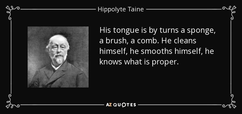 His tongue is by turns a sponge, a brush, a comb. He cleans himself, he smooths himself, he knows what is proper. - Hippolyte Taine
