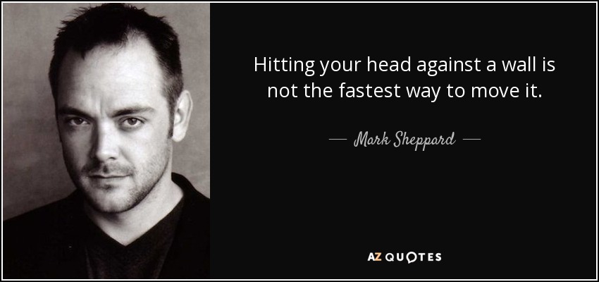 Hitting your head against a wall is not the fastest way to move it. - Mark Sheppard