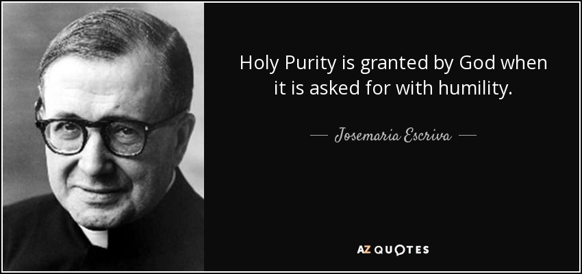 Holy Purity is granted by God when it is asked for with humility. - Josemaria Escriva