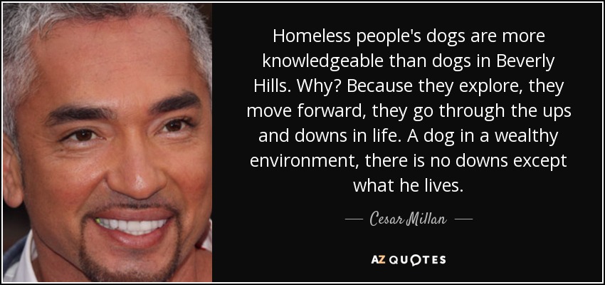 Homeless people's dogs are more knowledgeable than dogs in Beverly Hills. Why? Because they explore, they move forward, they go through the ups and downs in life. A dog in a wealthy environment, there is no downs except what he lives. - Cesar Millan