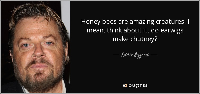 Honey bees are amazing creatures. I mean, think about it, do earwigs make chutney? - Eddie Izzard