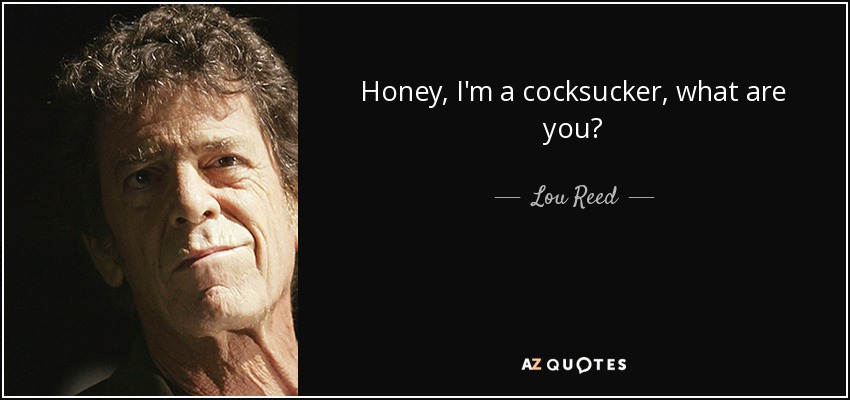 Honey, I'm a cocksucker, what are you? - Lou Reed