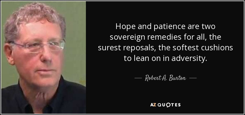 Hope and patience are two sovereign remedies for all, the surest reposals, the softest cushions to lean on in adversity. - Robert A. Burton
