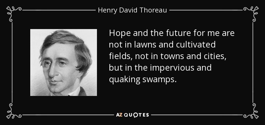 Hope and the future for me are not in lawns and cultivated fields, not in towns and cities, but in the impervious and quaking swamps. - Henry David Thoreau