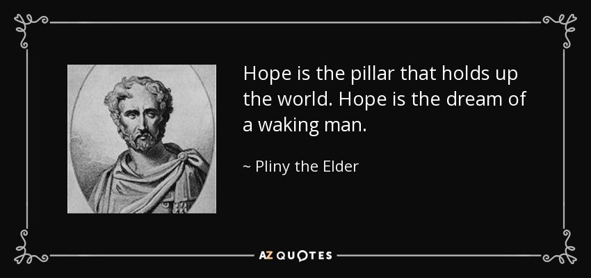 Hope is the pillar that holds up the world. Hope is the dream of a waking man. - Pliny the Elder