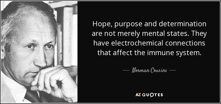 Hope, purpose and determination are not merely mental states. They have electrochemical connections that affect the immune system. - Norman Cousins