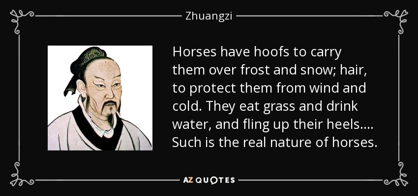 Horses have hoofs to carry them over frost and snow; hair, to protect them from wind and cold. They eat grass and drink water, and fling up their heels.... Such is the real nature of horses. - Zhuangzi