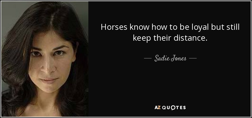 Horses know how to be loyal but still keep their distance. - Sadie Jones