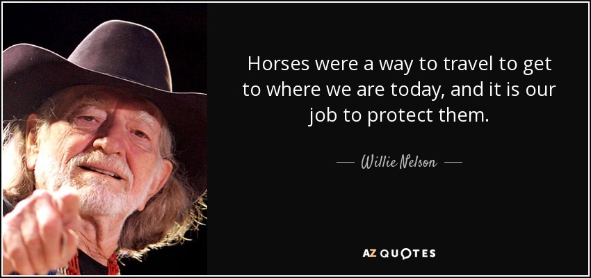 Horses were a way to travel to get to where we are today, and it is our job to protect them. - Willie Nelson