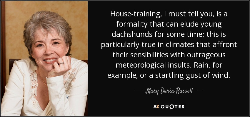 House-training, I must tell you, is a formality that can elude young dachshunds for some time; this is particularly true in climates that affront their sensibilities with outrageous meteorological insults. Rain, for example, or a startling gust of wind. - Mary Doria Russell