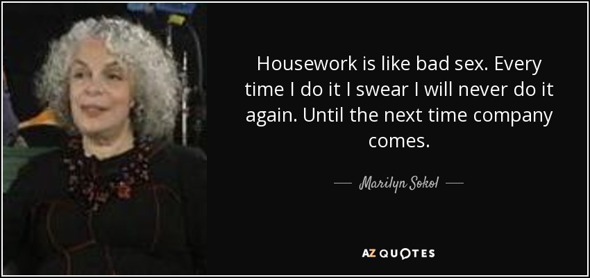 Housework is like bad sex. Every time I do it I swear I will never do it again. Until the next time company comes. - Marilyn Sokol