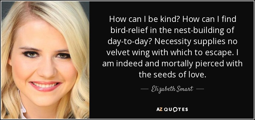 How can I be kind? How can I find bird-relief in the nest-building of day-to-day? Necessity supplies no velvet wing with which to escape. I am indeed and mortally pierced with the seeds of love. - Elizabeth Smart