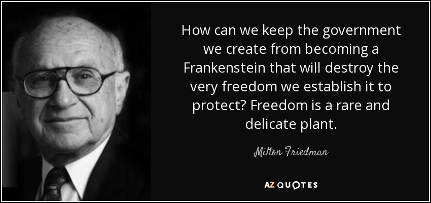How can we keep the government we create from becoming a Frankenstein that will destroy the very freedom we establish it to protect? Freedom is a rare and delicate plant. - Milton Friedman