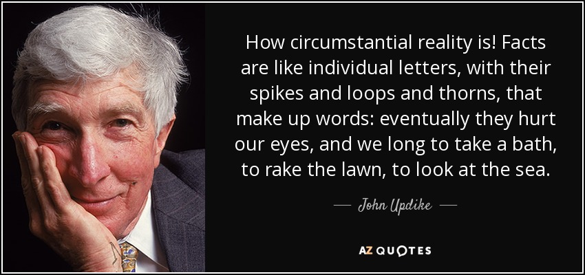 How circumstantial reality is! Facts are like individual letters, with their spikes and loops and thorns, that make up words: eventually they hurt our eyes, and we long to take a bath, to rake the lawn, to look at the sea. - John Updike