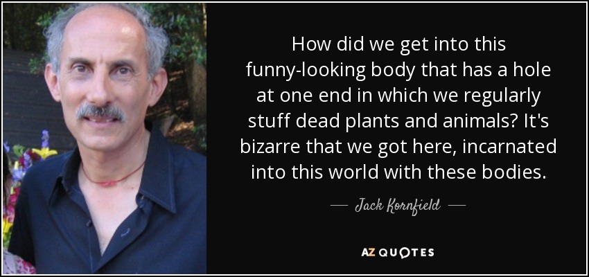How did we get into this funny-looking body that has a hole at one end in which we regularly stuff dead plants and animals? It's bizarre that we got here, incarnated into this world with these bodies. - Jack Kornfield