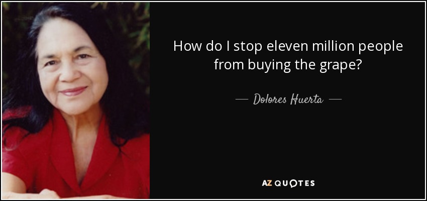 How do I stop eleven million people from buying the grape? - Dolores Huerta