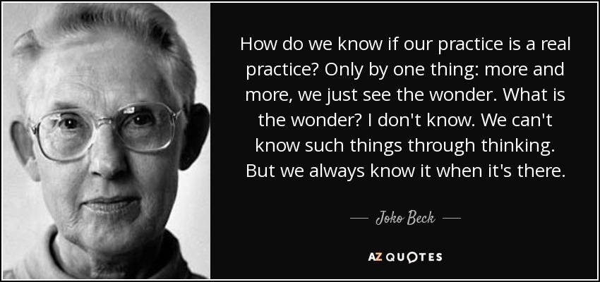 How do we know if our practice is a real practice? Only by one thing: more and more, we just see the wonder. What is the wonder? I don't know. We can't know such things through thinking. But we always know it when it's there. - Joko Beck