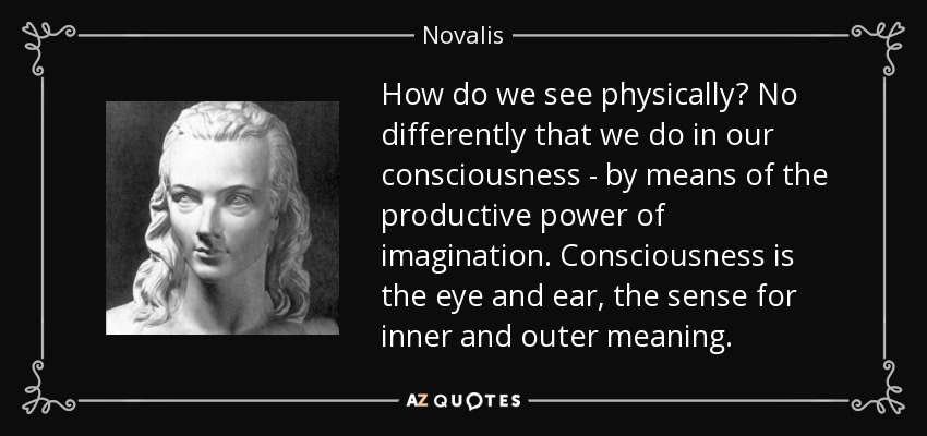 How do we see physically? No differently that we do in our consciousness - by means of the productive power of imagination. Consciousness is the eye and ear, the sense for inner and outer meaning. - Novalis