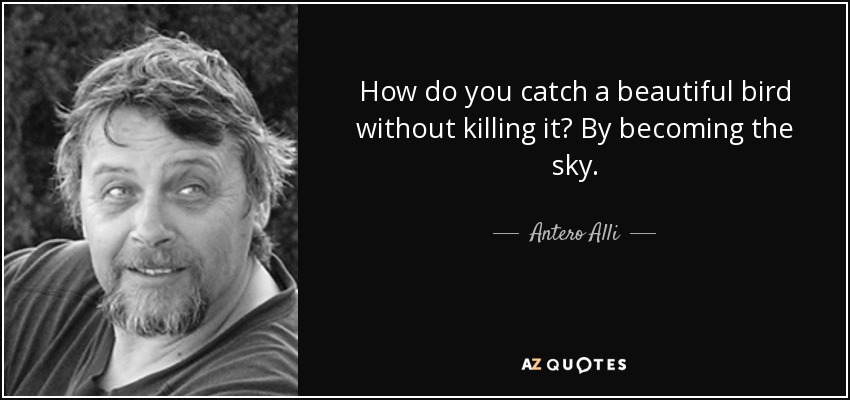 How do you catch a beautiful bird without killing it? By becoming the sky. - Antero Alli