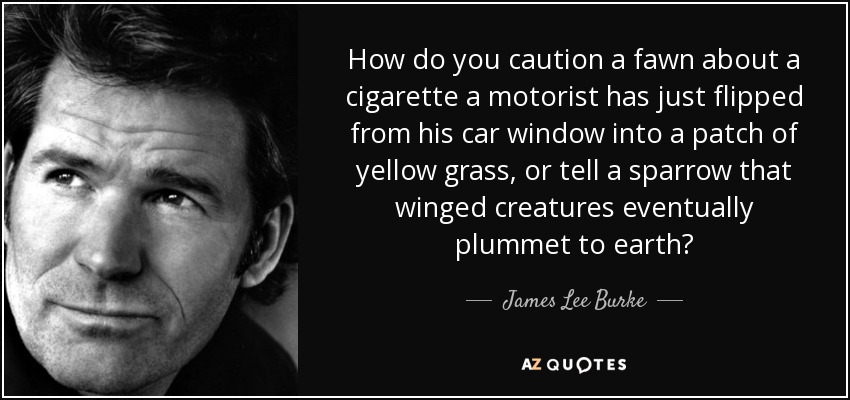 How do you caution a fawn about a cigarette a motorist has just flipped from his car window into a patch of yellow grass, or tell a sparrow that winged creatures eventually plummet to earth? - James Lee Burke