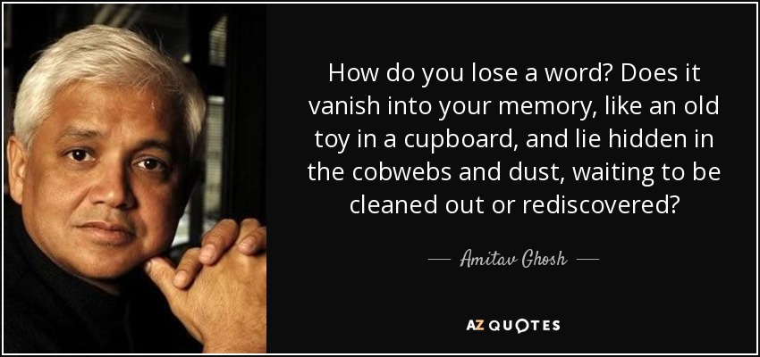 How do you lose a word? Does it vanish into your memory, like an old toy in a cupboard, and lie hidden in the cobwebs and dust, waiting to be cleaned out or rediscovered? - Amitav Ghosh