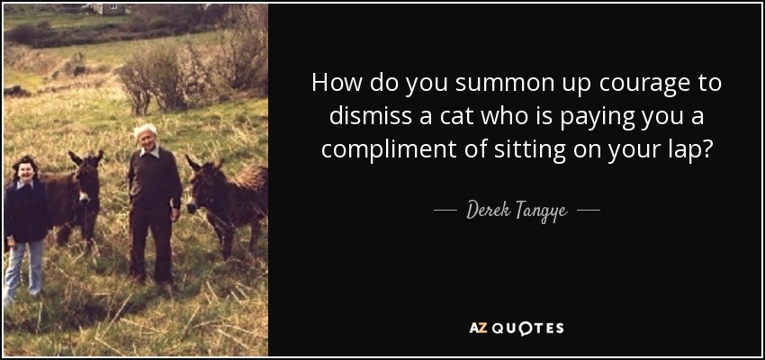 How do you summon up courage to dismiss a cat who is paying you a compliment of sitting on your lap? - Derek Tangye