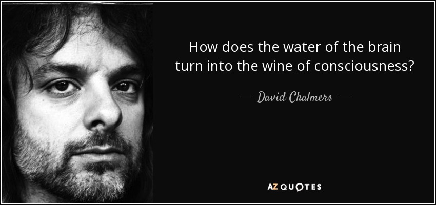 How does the water of the brain turn into the wine of consciousness? - David Chalmers