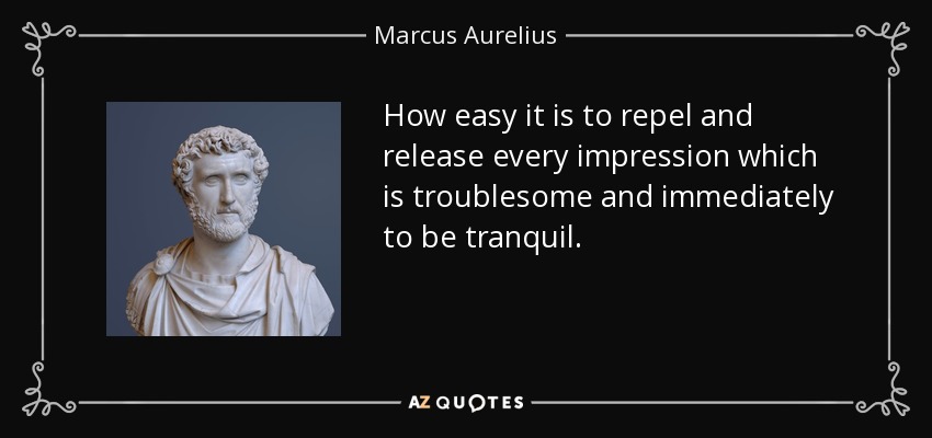 How easy it is to repel and release every impression which is troublesome and immediately to be tranquil. - Marcus Aurelius