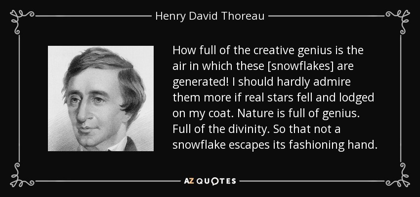 How full of the creative genius is the air in which these [snowflakes] are generated! I should hardly admire them more if real stars fell and lodged on my coat. Nature is full of genius. Full of the divinity. So that not a snowflake escapes its fashioning hand. - Henry David Thoreau