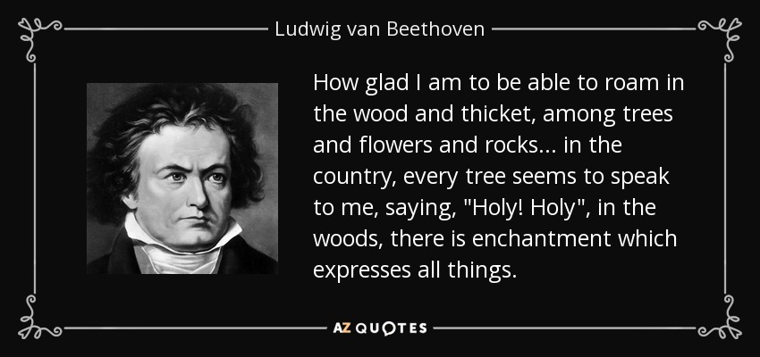 How glad I am to be able to roam in the wood and thicket, among trees and flowers and rocks ... in the country, every tree seems to speak to me, saying, 