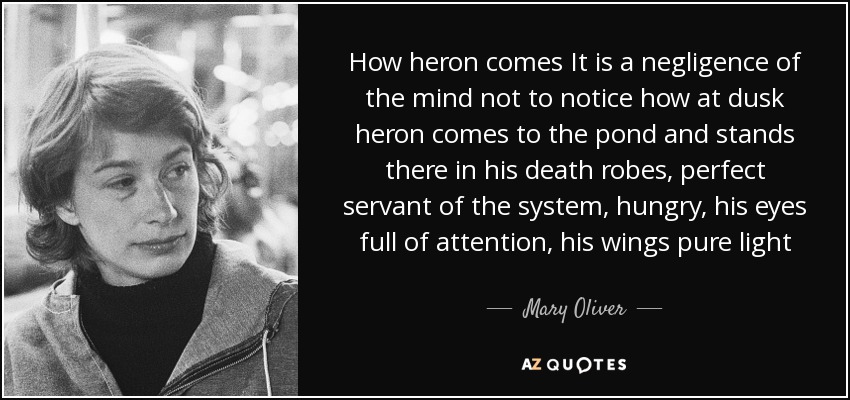 How heron comes It is a negligence of the mind not to notice how at dusk heron comes to the pond and stands there in his death robes, perfect servant of the system, hungry, his eyes full of attention, his wings pure light - Mary Oliver
