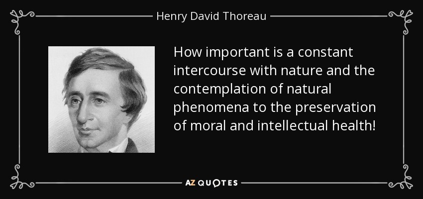 How important is a constant intercourse with nature and the contemplation of natural phenomena to the preservation of moral and intellectual health! - Henry David Thoreau