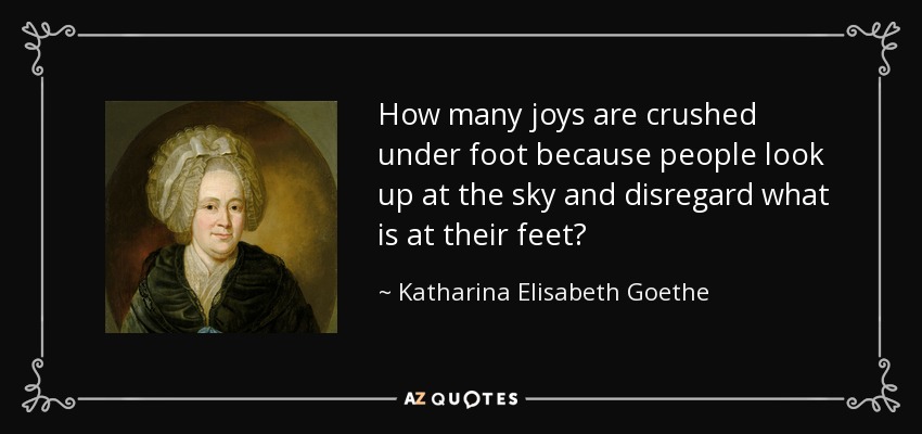 How many joys are crushed under foot because people look up at the sky and disregard what is at their feet? - Katharina Elisabeth Goethe