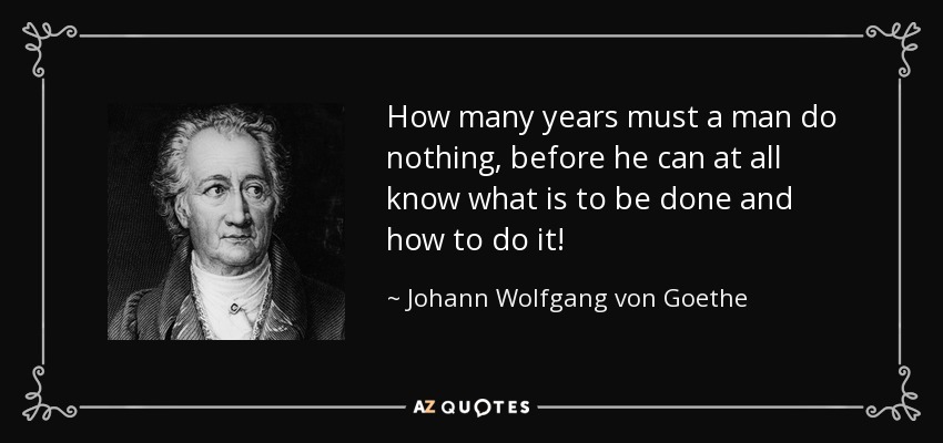 How many years must a man do nothing, before he can at all know what is to be done and how to do it! - Johann Wolfgang von Goethe