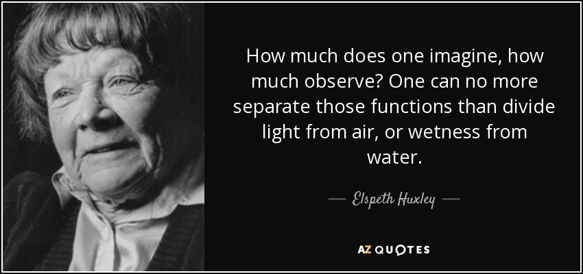 How much does one imagine, how much observe? One can no more separate those functions than divide light from air, or wetness from water. - Elspeth Huxley