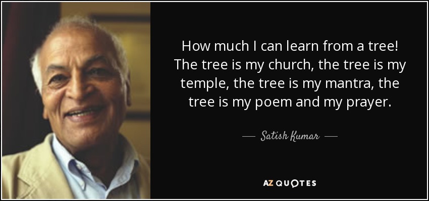How much I can learn from a tree! The tree is my church, the tree is my temple, the tree is my mantra, the tree is my poem and my prayer. - Satish Kumar