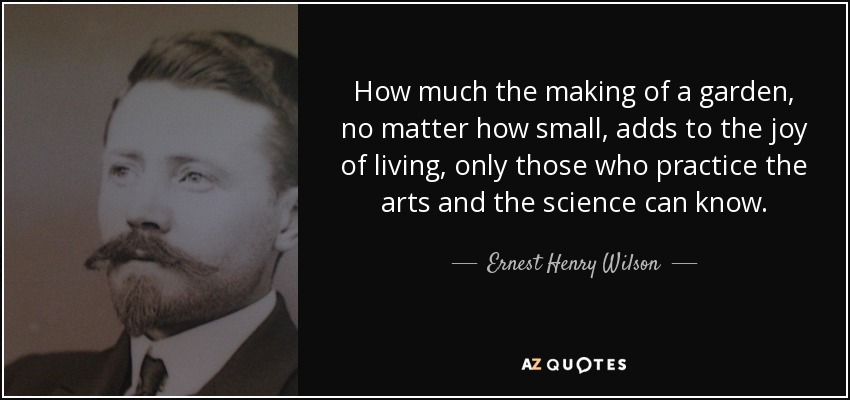 How much the making of a garden, no matter how small, adds to the joy of living, only those who practice the arts and the science can know. - Ernest Henry Wilson